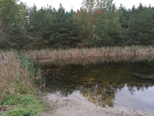 Angelteich Tietzow-2