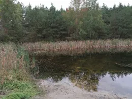 Angelteich Tietzow-2