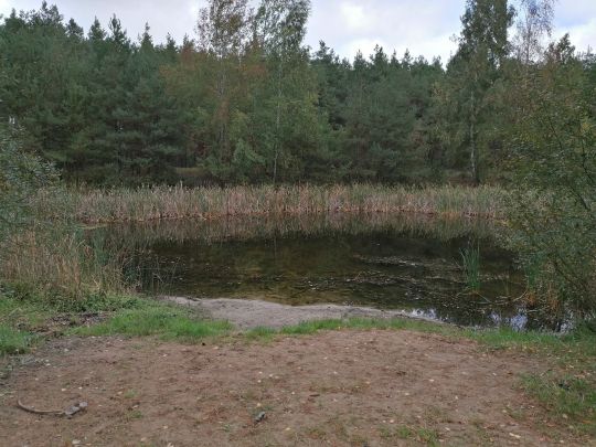 Angelteich Tietzow-1