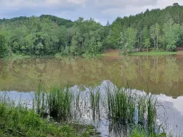 Speicher Buchenhof-1