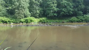 Zwickauer Mulde (Lunzenau)-4