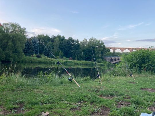 Zwickauer Mulde (Lunzenau) angeln