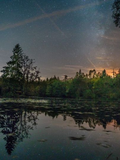 Reichensteiner Weiher