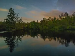 Reichensteiner Weiher-2