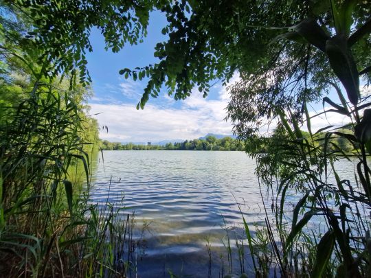 Salzachsee (Salzburg)-2
