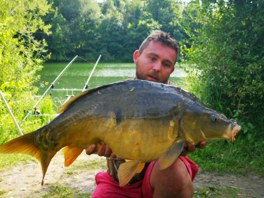 Riedelsee (Elchingen)-3