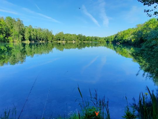 Riedelsee (Elchingen)-4