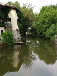 Mühlbach (Bad Aibling)