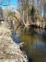 Mühlbach (Bad Aibling)-1