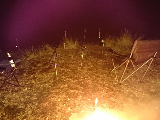 Pferdeteich (Eichwege)-4