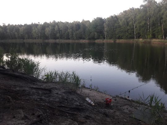 Pferdeteich (Eichwege)-3