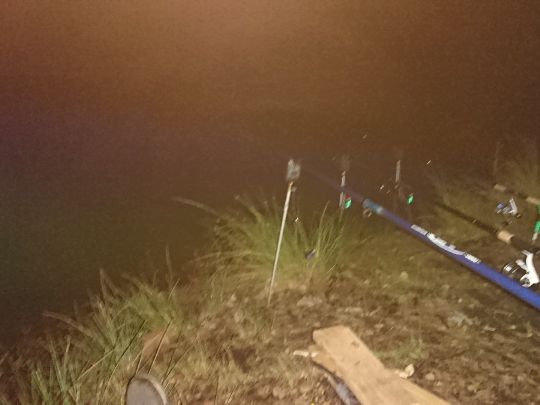 Pferdeteich (Eichwege)-2