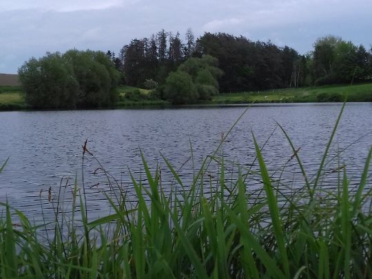 Wenzelstau