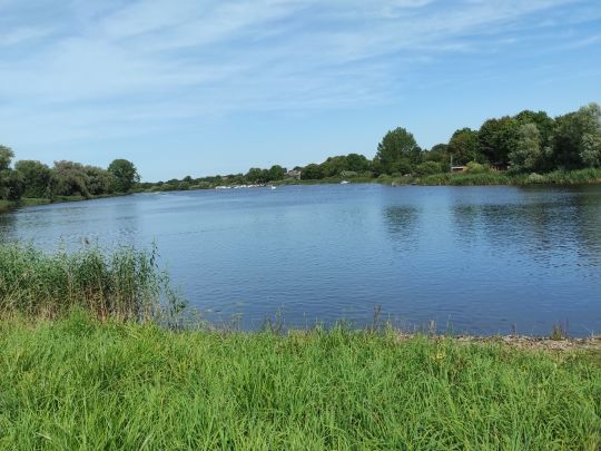 Eider (Delve/Erfde)-3