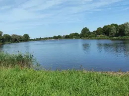 Eider (Delve/Erfde)-3