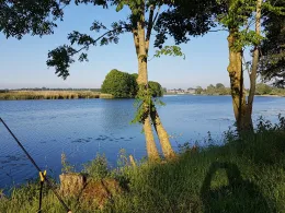 Eider (Delve/Erfde)-1