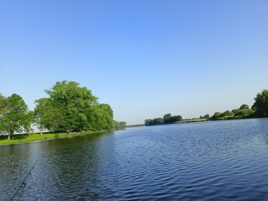 Eider (Delve/Erfde)-2