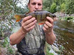 Wertach (Augsburg)-3