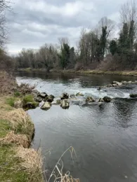 Wertach (Augsburg)-4