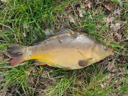 Moddergraben (Stichkanal Klein Köris)-2