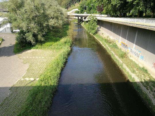 Sieg (Betzdorf)