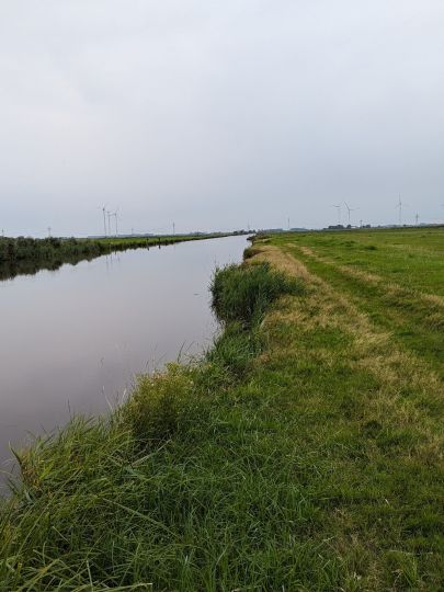 Lange Maar (Oldersum)-4