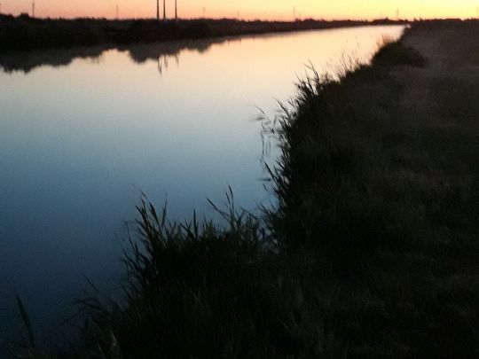 Lange Maar (Oldersum)