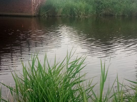 Lange Maar (Oldersum)-3