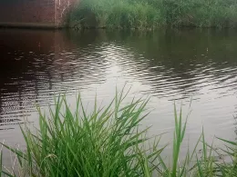 Lange Maar (Oldersum)-3