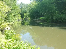 Wilde Saale (Halle/Saale)-2