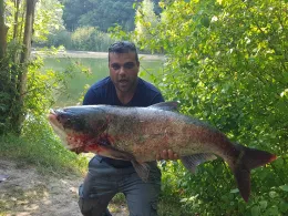 Wilde Saale (Halle/Saale)-1