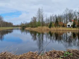 Landal Natuurdorp Suyderoogh-4