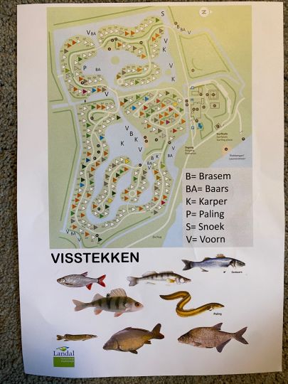 Landal Natuurdorp Suyderoogh-1