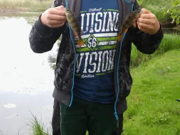 Jungfernbrack (Beuster)