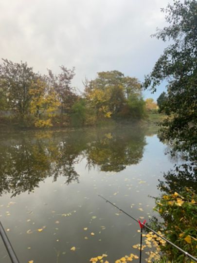 Karpfenteich Kleinlauchstädt angeln