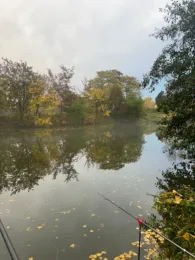 Karpfenteich Kleinlauchstädt-1