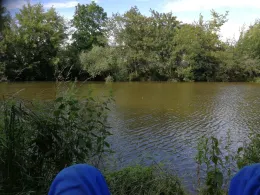 Karpfenteich Kleinlauchstädt-3