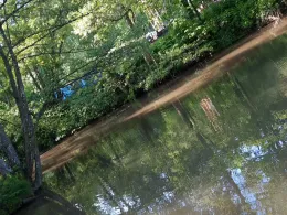 Schwarzbach (Zweibrücken)