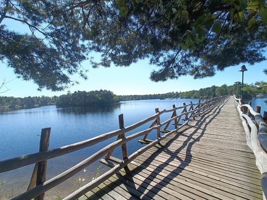 Center Parcs De Vossemeren-2