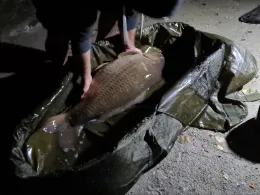 Center Parcs De Vossemeren