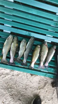 Forellenteich Timmel-4