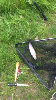 Forellenteich Timmel-3