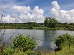 Höllteich (Walkenried)-0