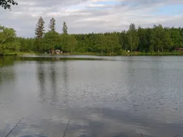 Treuer Nachbarteich-2