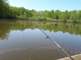 Schwarzer Teich (Spitzkunnersdorf)