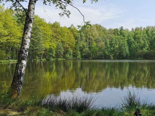 Schwarzer Teich (Spitzkunnersdorf) ALLE ANGELN