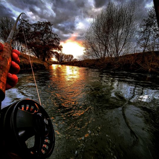 Innerste (Groß Düngen)-1