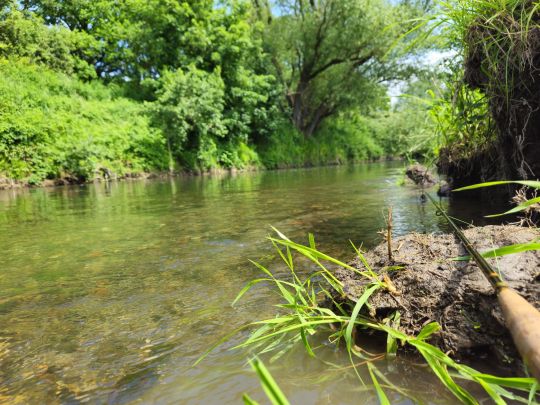 Innerste (Groß Düngen)-3