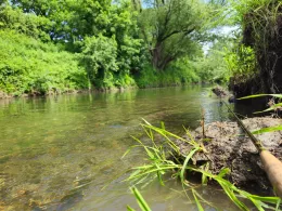 Innerste (Groß Düngen)-3