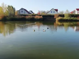 Teich am Schönauer Ring (Leipzig)-3